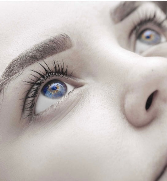 (114) Lash-lifting / Lashlift